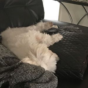 Meet your Posher, Donna